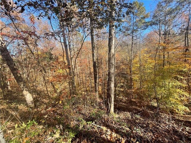 LOT09 Hidden Acres Dr, Seneca, SC 29678 - photo 5