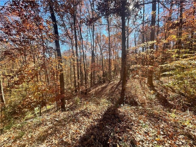LOT09 Hidden Acres Dr, Seneca, SC 29678 - photo 6