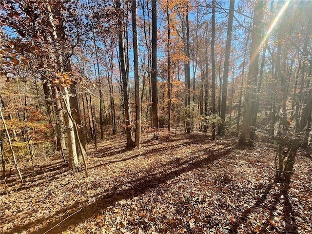 LOT09 Hidden Acres Dr, Seneca, SC 29678 - photo 7
