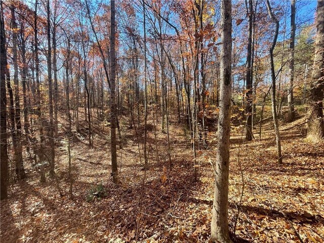 LOT09 Hidden Acres Dr, Seneca, SC 29678 - photo 8