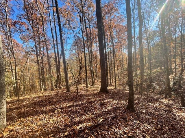 LOT09 Hidden Acres Dr, Seneca, SC 29678 - photo 9