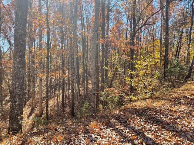LOT09 Hidden Acres Dr, Seneca, SC 29678 - photo 10
