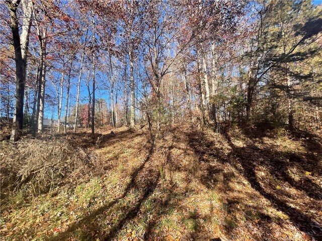 LOT09 Hidden Acres Dr, Seneca, SC 29678 - photo 11
