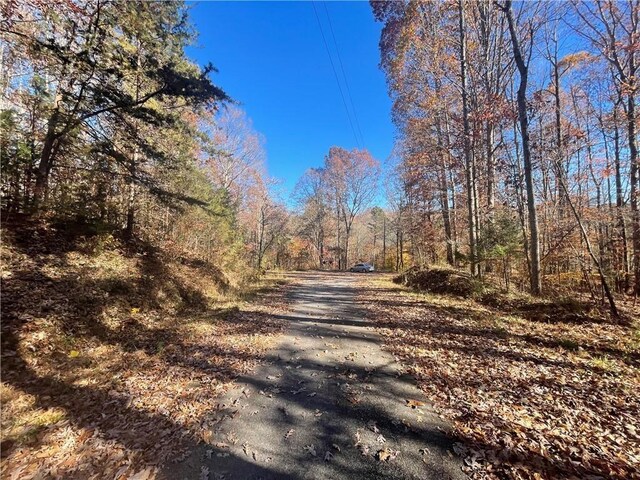 LOT09 Hidden Acres Dr, Seneca, SC 29678 - photo 12