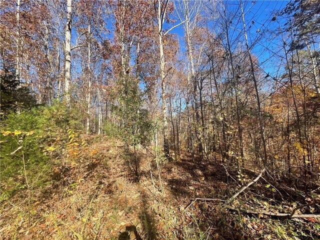 LOT09 Hidden Acres Dr, Seneca, SC 29678 - photo 14