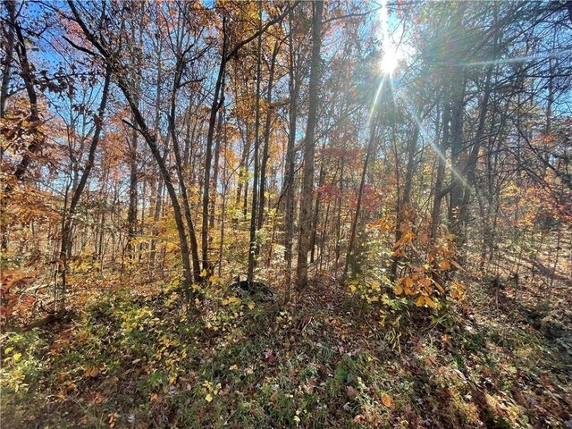 LOT09 Hidden Acres Dr, Seneca, SC 29678 - photo 15