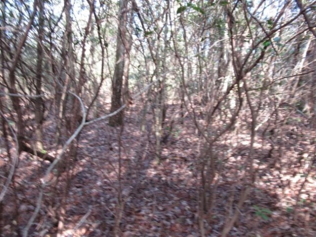 15 Matthews Creek Ln, Cleveland, SC 29635