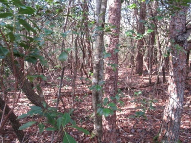 15 Matthews Creek Ln, Cleveland, SC 29635