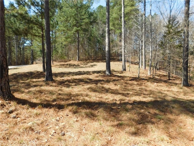 330 Knollwood Dr, Salem, SC 29676