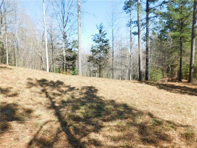 330 Knollwood Dr, Salem, SC 29676