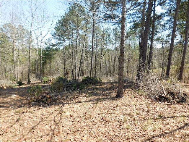 306 Eagles Bend Trl, Salem SC, 29676 land for sale