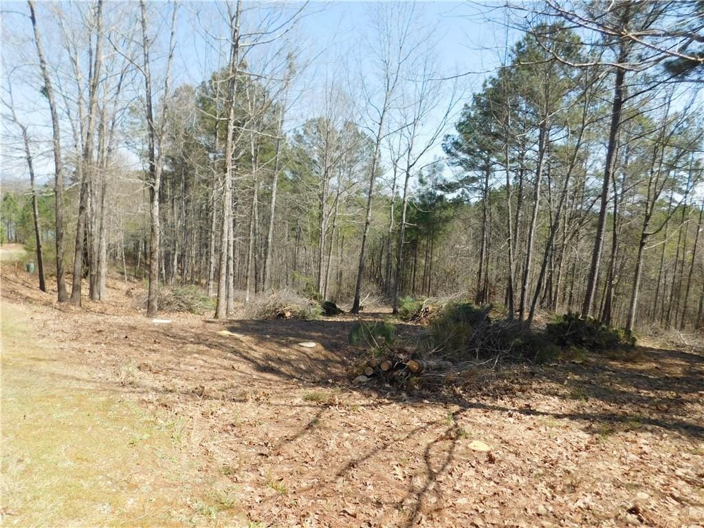 306 Eagles Bend Trl, Salem, SC 29676 - photo 2
