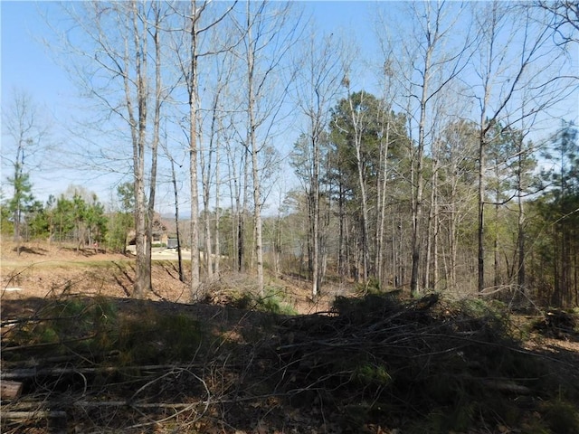 Listing photo 3 for 306 Eagles Bend Trl, Salem SC 29676