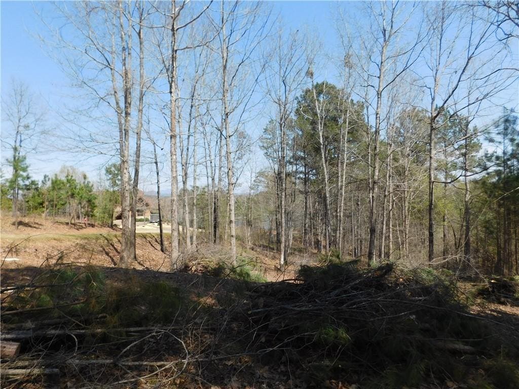 306 Eagles Bend Trl, Salem, SC 29676 - photo 3