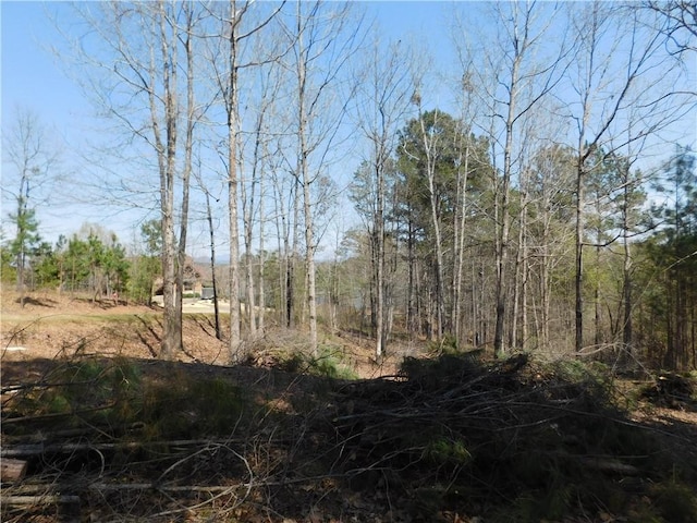 306 Eagles Bend Trl, Salem, SC 29676 - photo 3