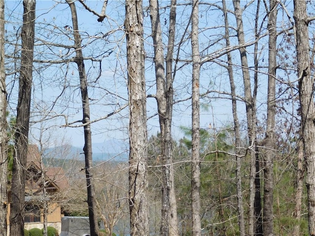 306 Eagles Bend Trl, Salem, SC 29676 - photo 4