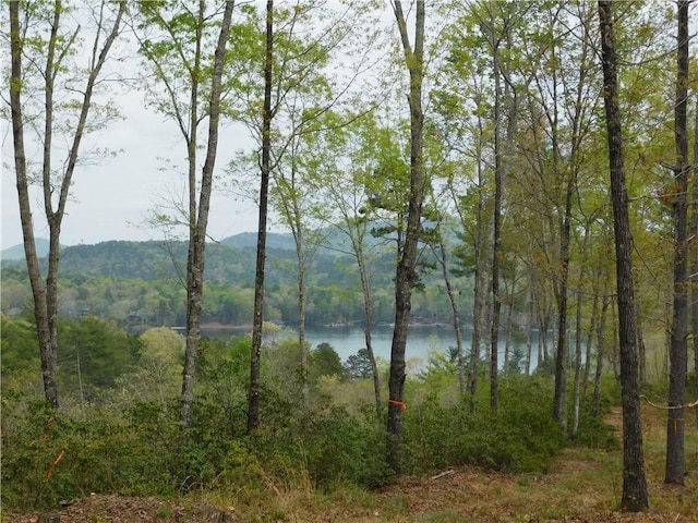 LOT1 Old Chapman Bridge Rd, Salem, SC 29676 - photo 1