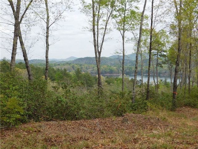 Listing photo 2 for LOT1 Old Chapman Bridge Rd, Salem SC 29676