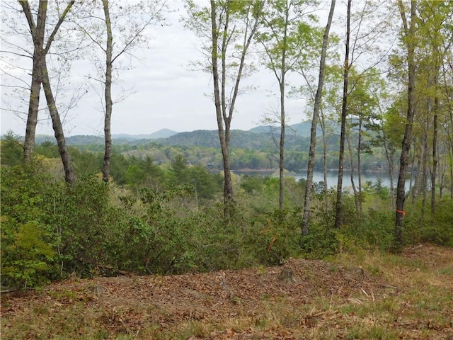 LOT1 Old Chapman Bridge Rd, Salem, SC 29676 - photo 2