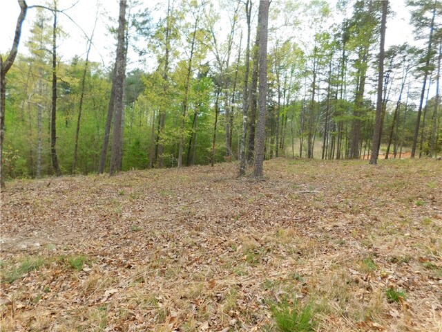 Listing photo 3 for LOT1 Old Chapman Bridge Rd, Salem SC 29676