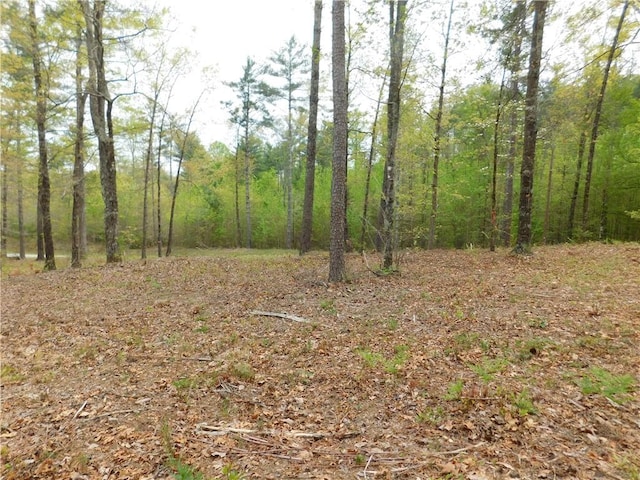 LOT1 Old Chapman Bridge Rd, Salem, SC 29676 - photo 4