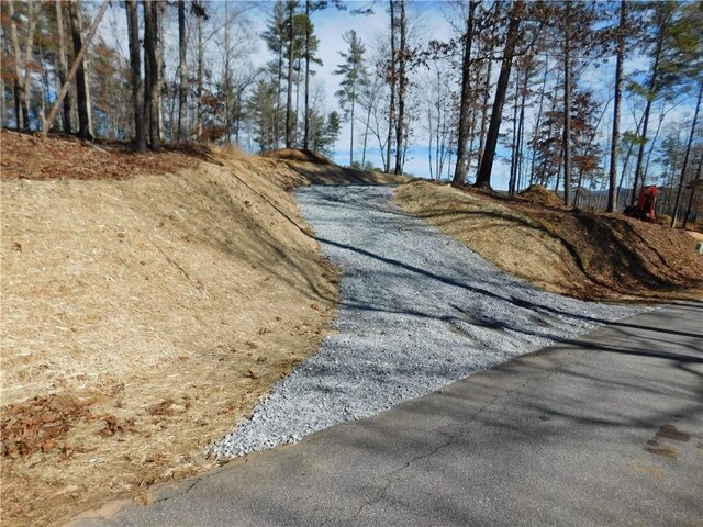 LOT1 Old Chapman Bridge Rd, Salem, SC 29676 - photo 5