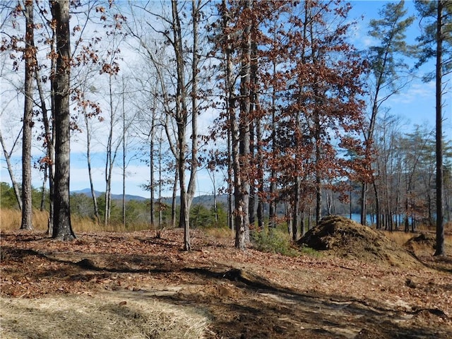 LOT1 Old Chapman Bridge Rd, Salem, SC 29676 - photo 6