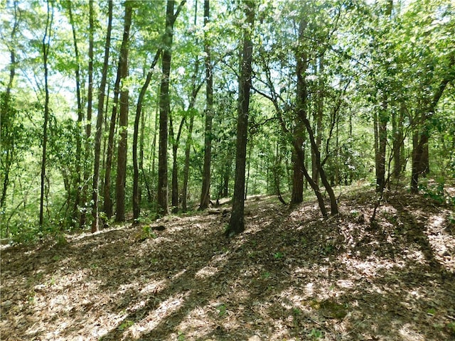 250 Cliffs Falls Pkwy, Salem SC, 29676 land for sale