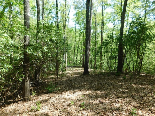 250 Cliffs Falls Pkwy, Salem, SC 29676 - photo 2