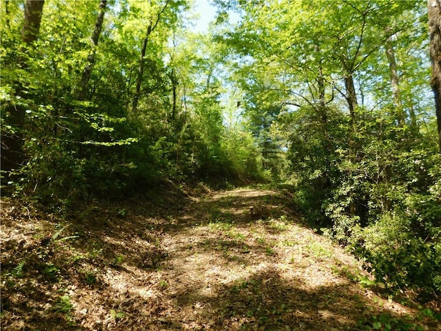 250 Cliffs Falls Pkwy, Salem, SC 29676 - photo 3