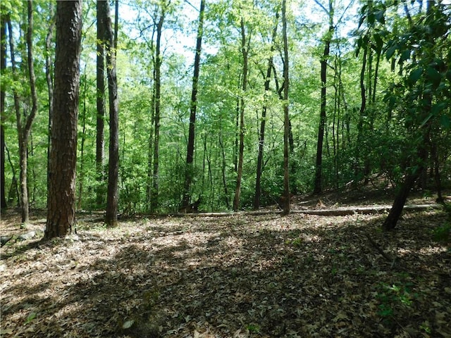 250 Cliffs Falls Pkwy, Salem, SC 29676 - photo 4