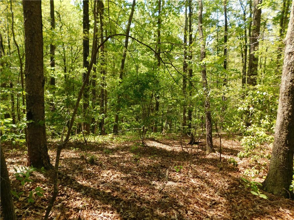 925 Mountain Breeze Ln, Salem, SC 29676 - photo 2