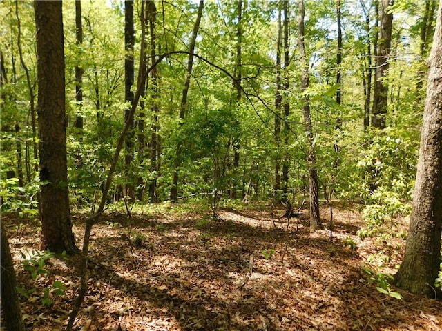 925 Mountain Breeze Ln, Salem, SC 29676 - photo 2