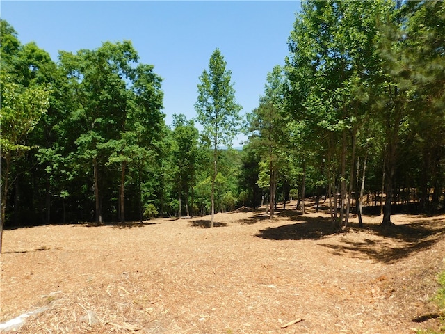 LOT91 Woodlake Way, Salem SC, 29676 land for sale