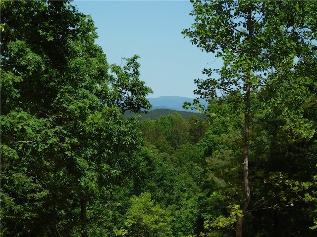 Listing photo 3 for LOT91 Woodlake Way, Salem SC 29676