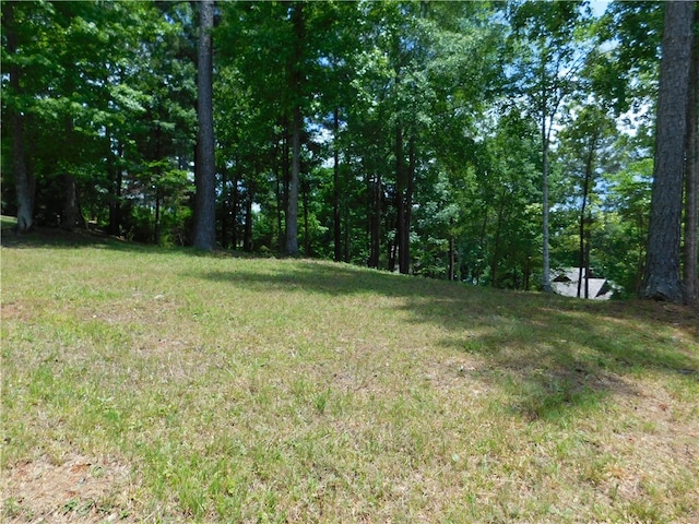 303 Broadleaf Ct, Salem SC, 29676 land for sale