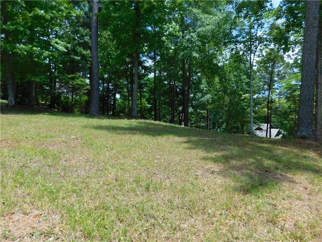 303 Broadleaf Ct, Salem, SC 29676 - photo 1