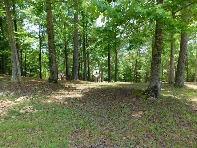 303 Broadleaf Ct, Salem, SC 29676 - photo 2