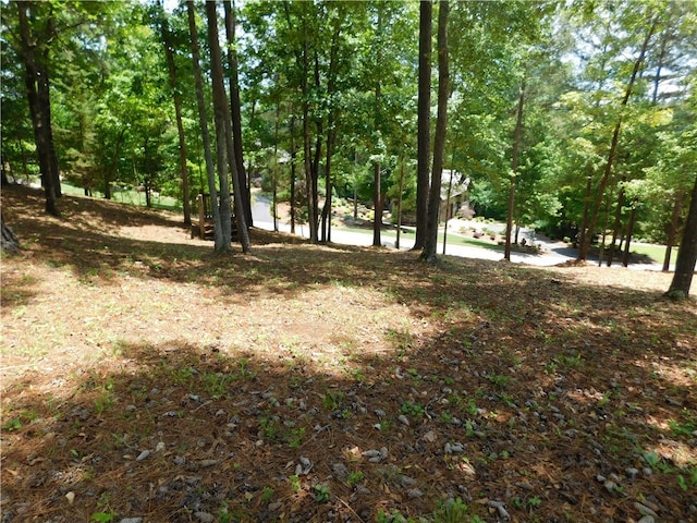 Listing photo 3 for 303 Broadleaf Ct, Salem SC 29676