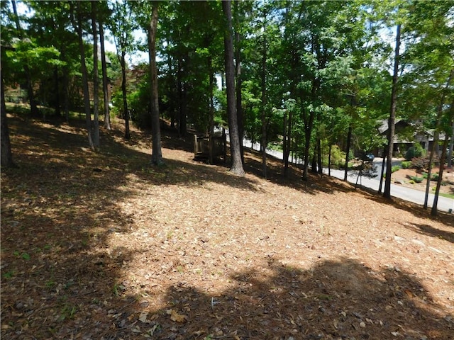 303 Broadleaf Ct, Salem, SC 29676 - photo 4