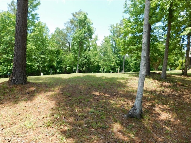 303 Broadleaf Ct, Salem, SC 29676 - photo 5