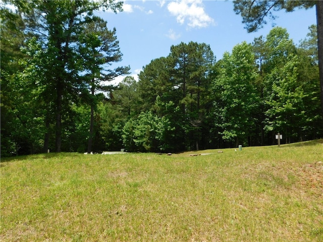 305 Broadleaf Ct, Salem SC, 29676 land for sale