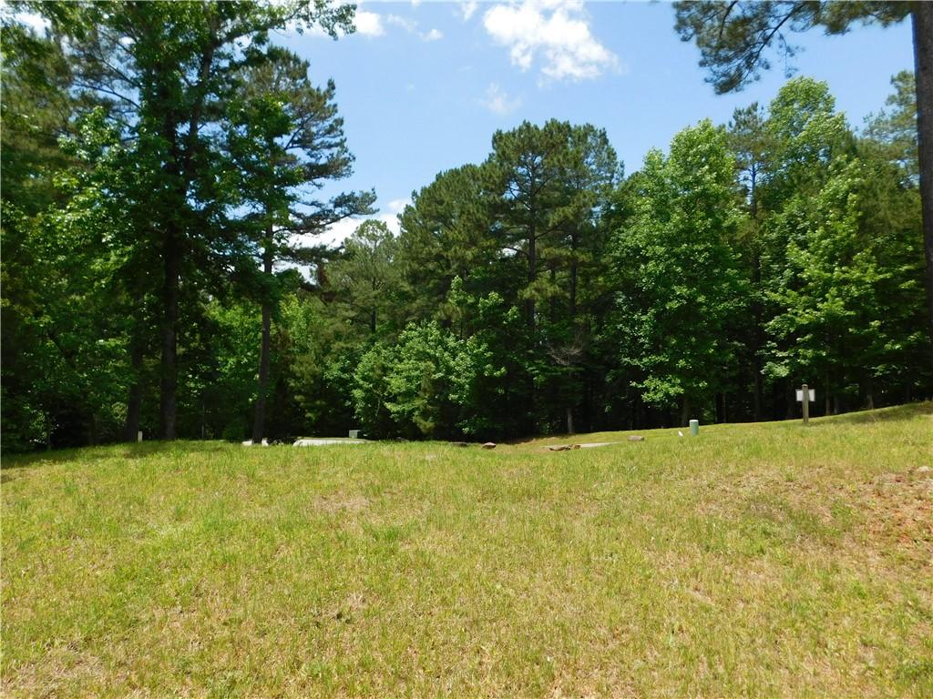 305 Broadleaf Ct, Salem, SC 29676 - photo 1