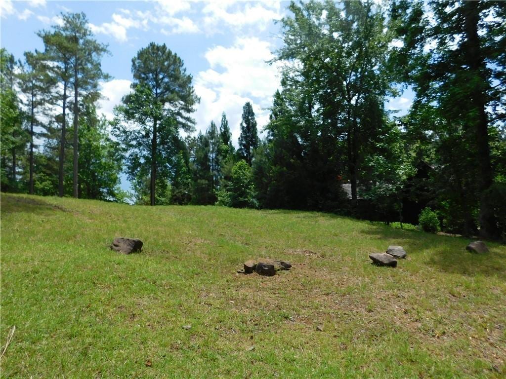 305 Broadleaf Ct, Salem, SC 29676 - photo 2