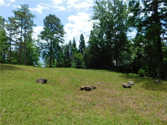 305 Broadleaf Ct, Salem, SC 29676 - photo 2