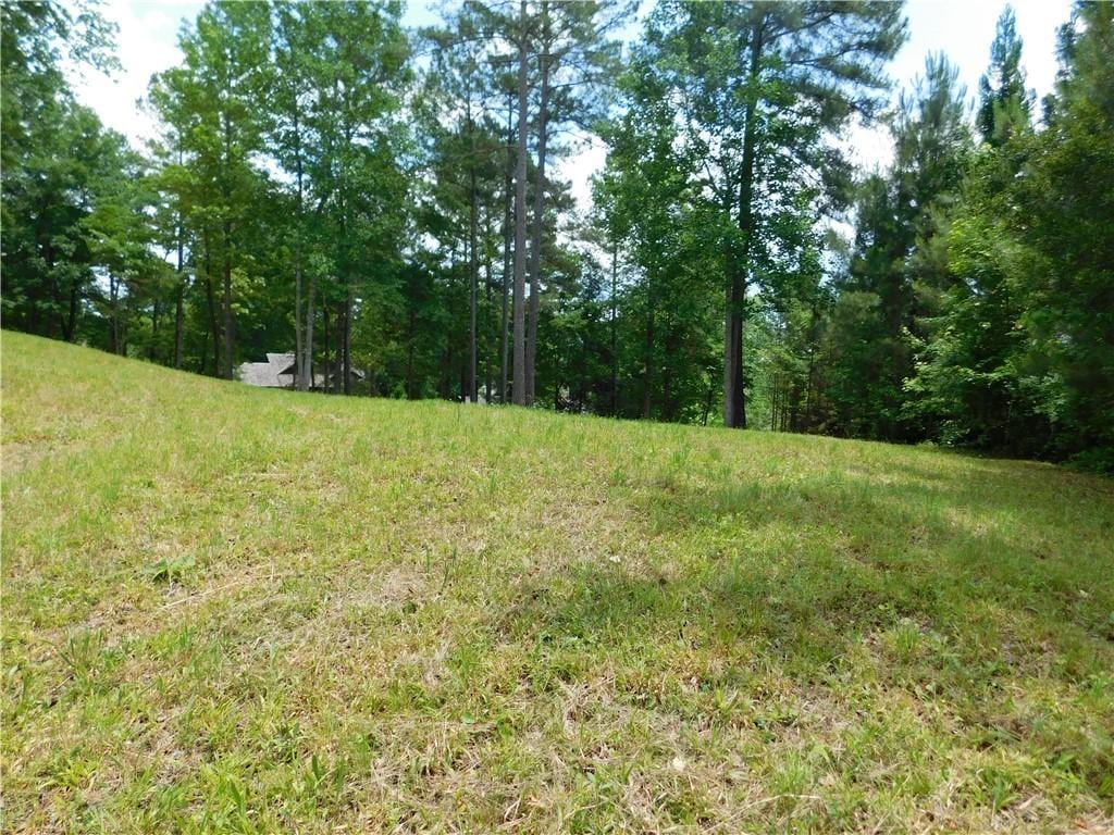 305 Broadleaf Ct, Salem, SC 29676 - photo 3