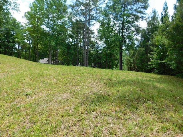 305 Broadleaf Ct, Salem, SC 29676 - photo 3