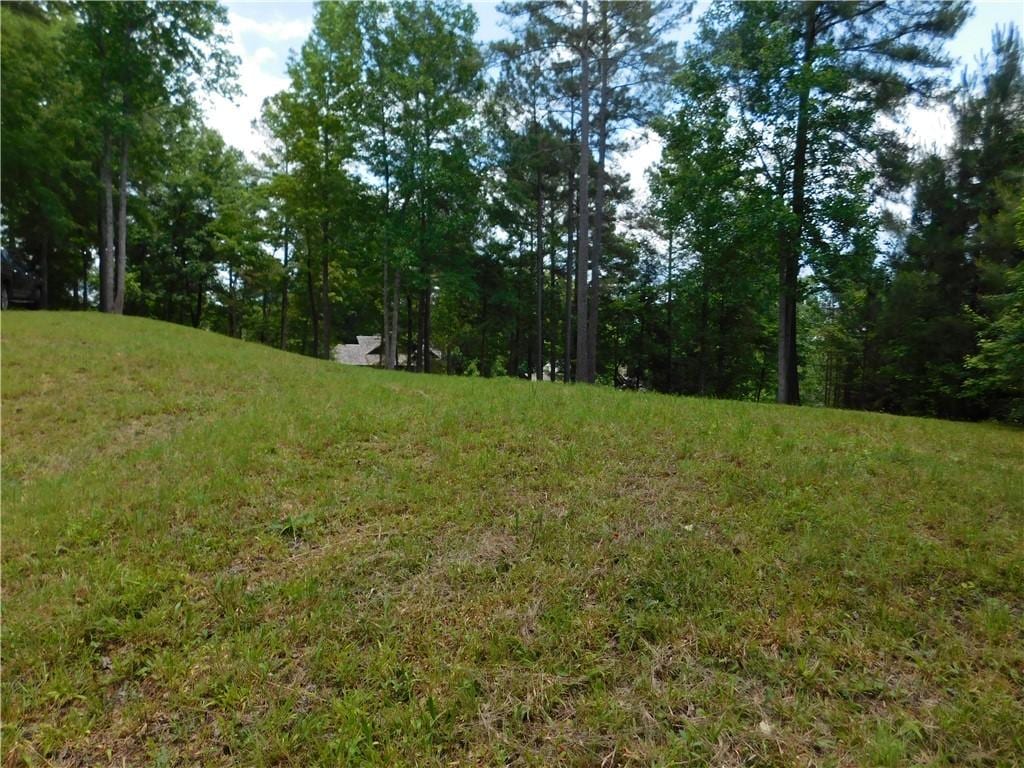 305 Broadleaf Ct, Salem, SC 29676 - photo 4