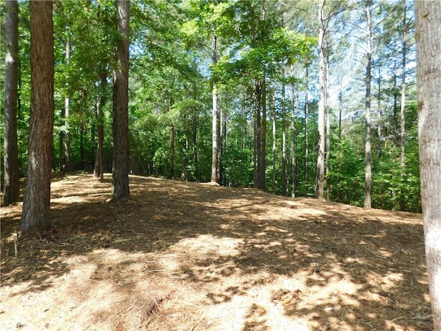 Listing photo 3 for 521 Brookgreen Trl, Salem SC 29676