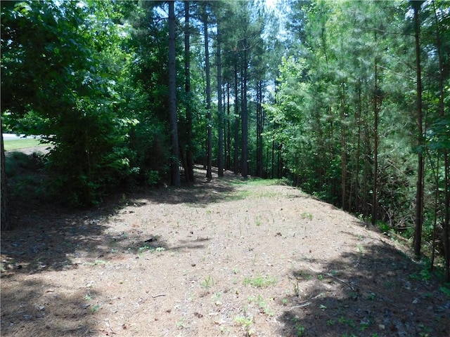 309 Broadleaf Ct, Salem, SC 29676 - photo 1